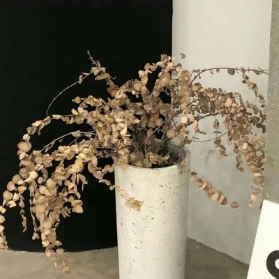 Furry插画构图思路FurryQQ群